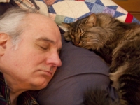 Hermes and Onjay sleep on couch P2050530  Out lik lights.